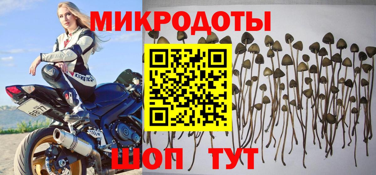 Галлюциногенные грибы мухоморы  Галлюциногенные грибы прущие грибы  Вход с VPN  Казань 