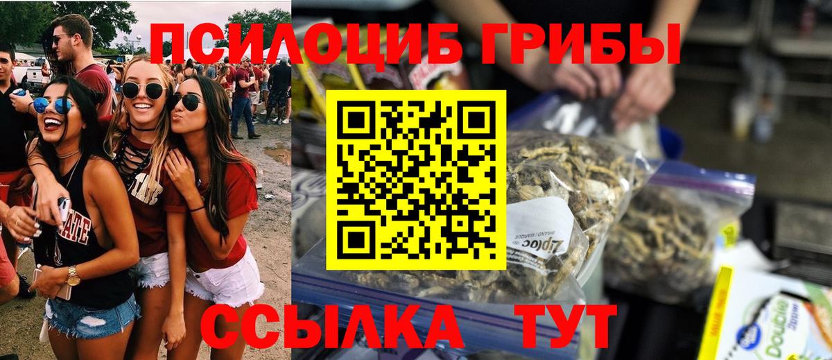 Галлюциногенные грибы GOLDEN TEACHER Казань